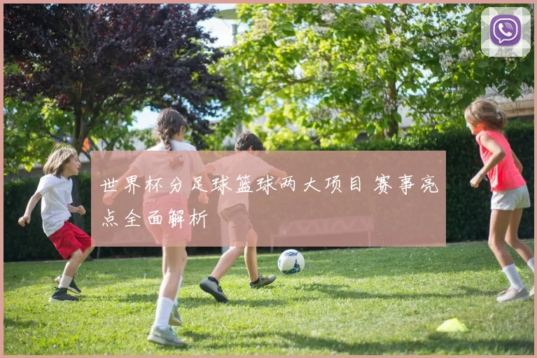 世界杯分足球篮球两大项目 赛事亮点全面解析