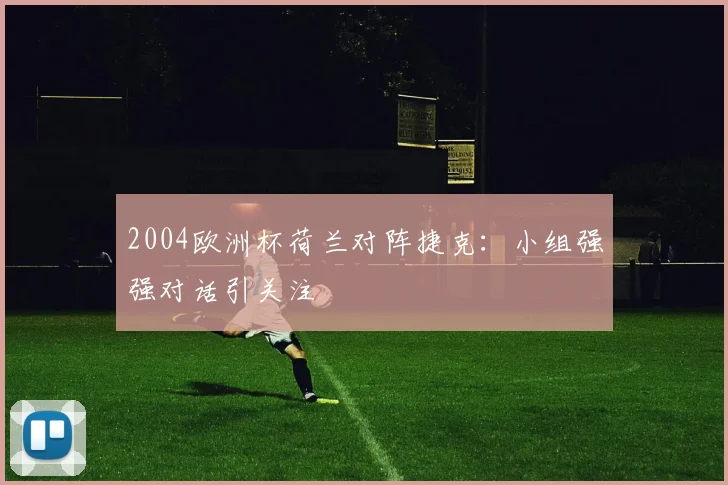 2004欧洲杯荷兰对阵捷克：小组强强对话引关注